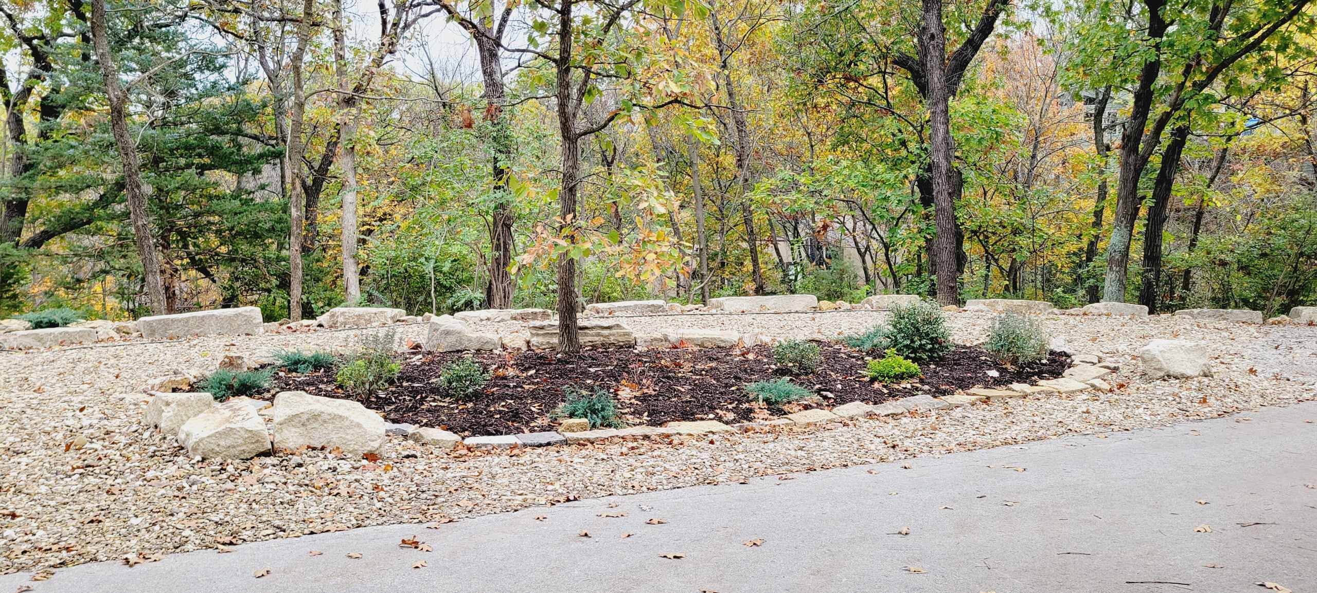 Woodland Restoration