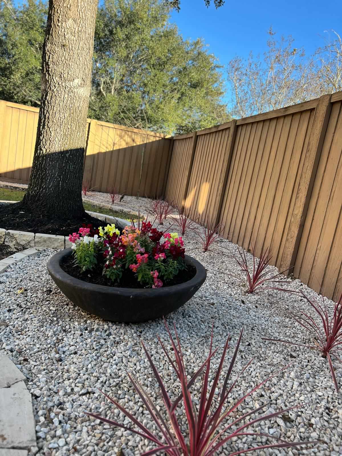 Putting Green, Backyard Paradise and Front yard Makeover in Fulshear!