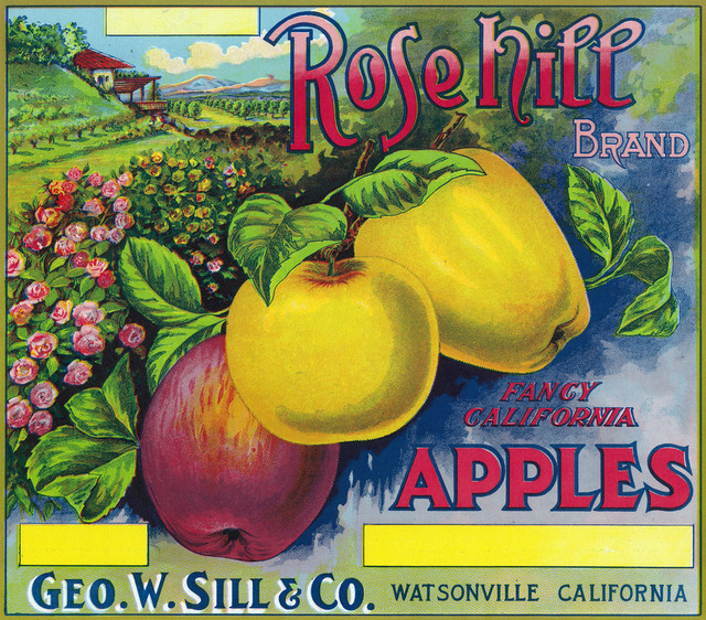 Watsonville Pajaro Valley California Diving Girl Apple Fruit Crate Label Print