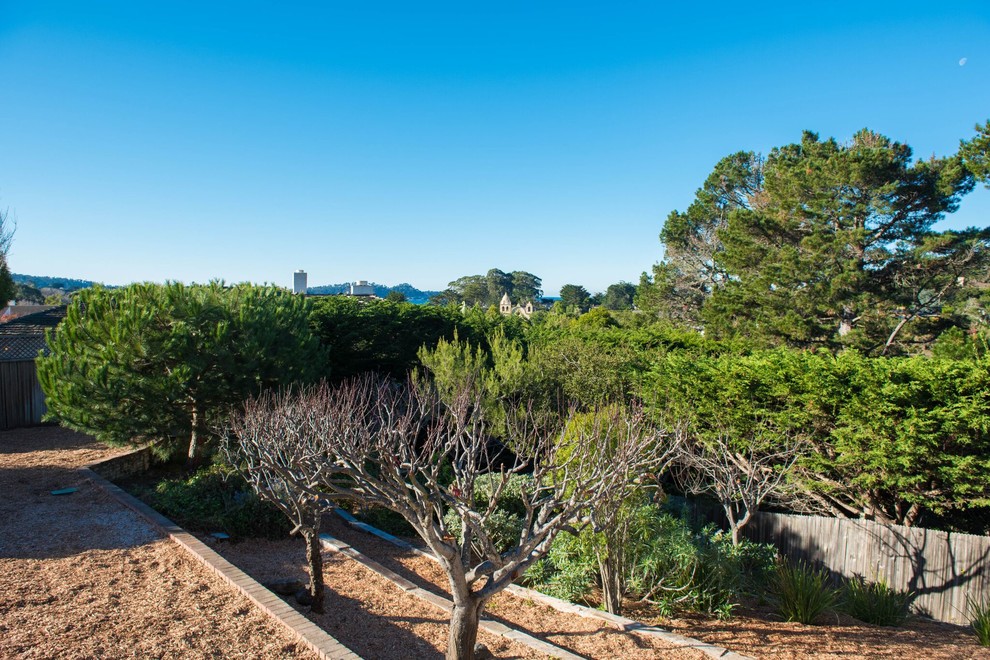 Inspiration for a mid-sized transitional backyard landscaping in Orange County.
