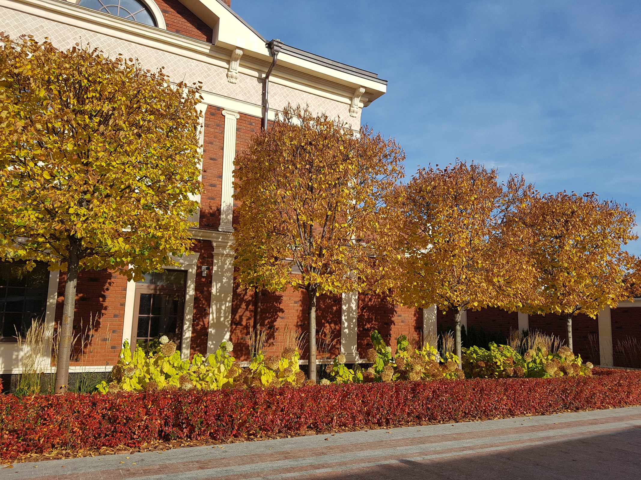 Сад с аурой.Осенние краски.