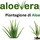 www.aloeveraplants.gr