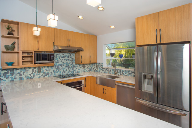 Kitchen Remodel contemporary-kitchen