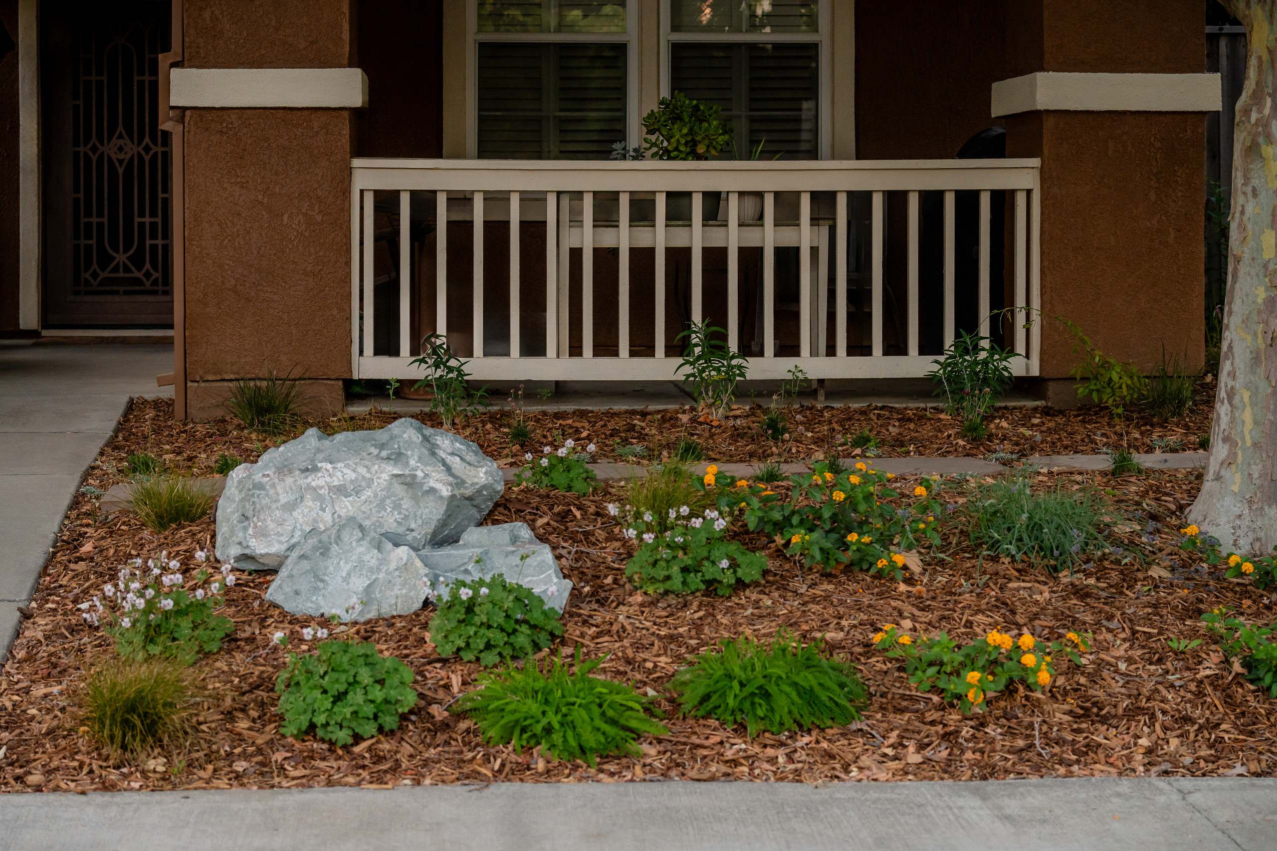Warm Welcome Outdoors: Full Space Redesign