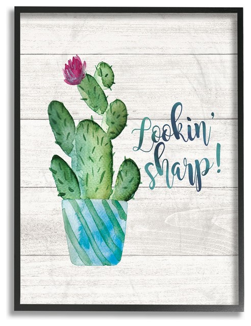 Looking Sharp Cactus Succulent Watercolor Framed Giclee Texturized Art Southwestern Prints And Posters By Stupell Industries Houzz