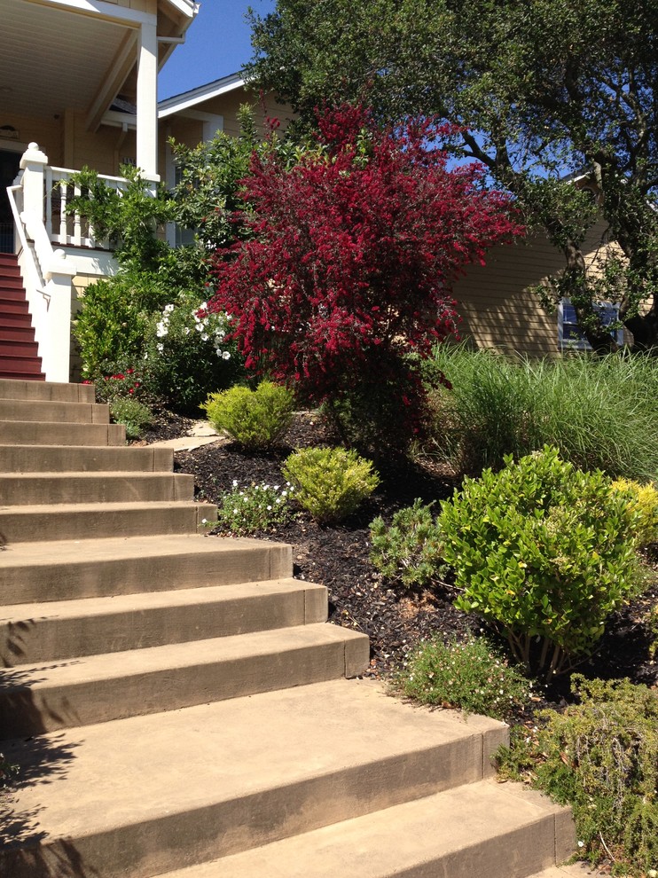 Design ideas for a traditional sloped full sun garden in San Francisco with mulch.