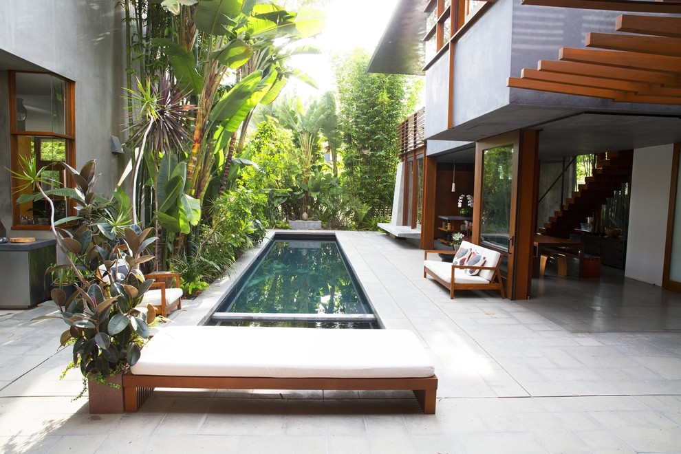 Photo of a tropical courtyard rectangular lap pool in New York.