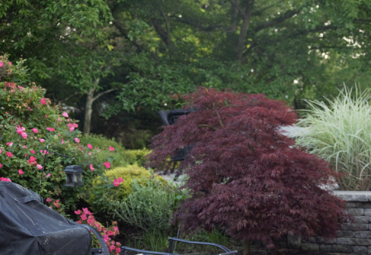Small Patios