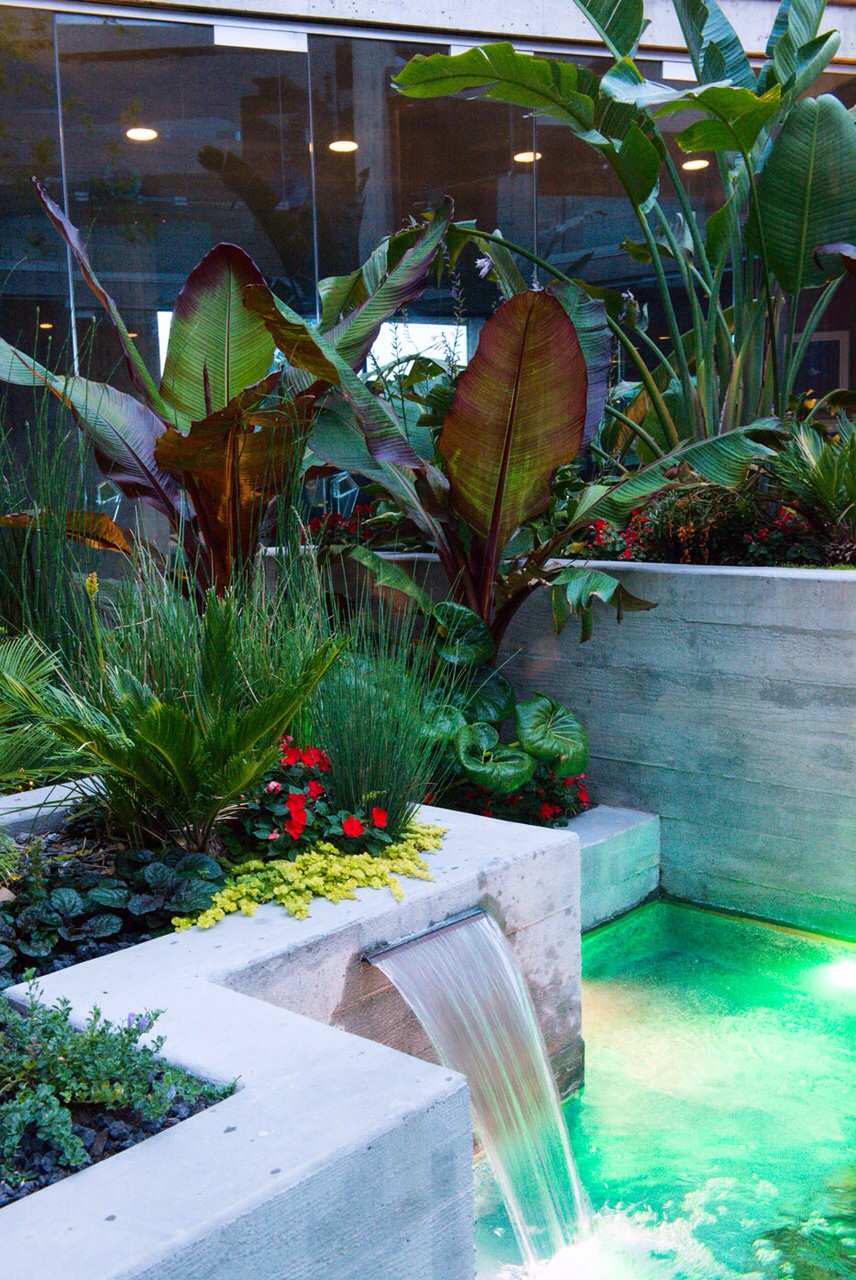 Tropical Modern Landscape