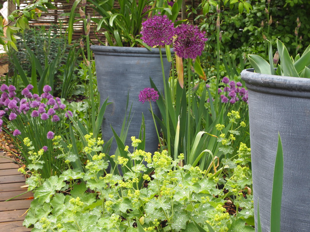 Inspiration for a shabby-chic style garden in Hampshire.