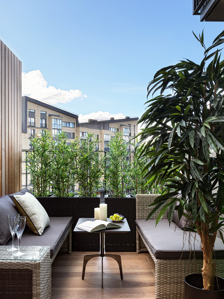 Moderne Terrasse im Innenhof mit Kübelpflanzen in Moskau
