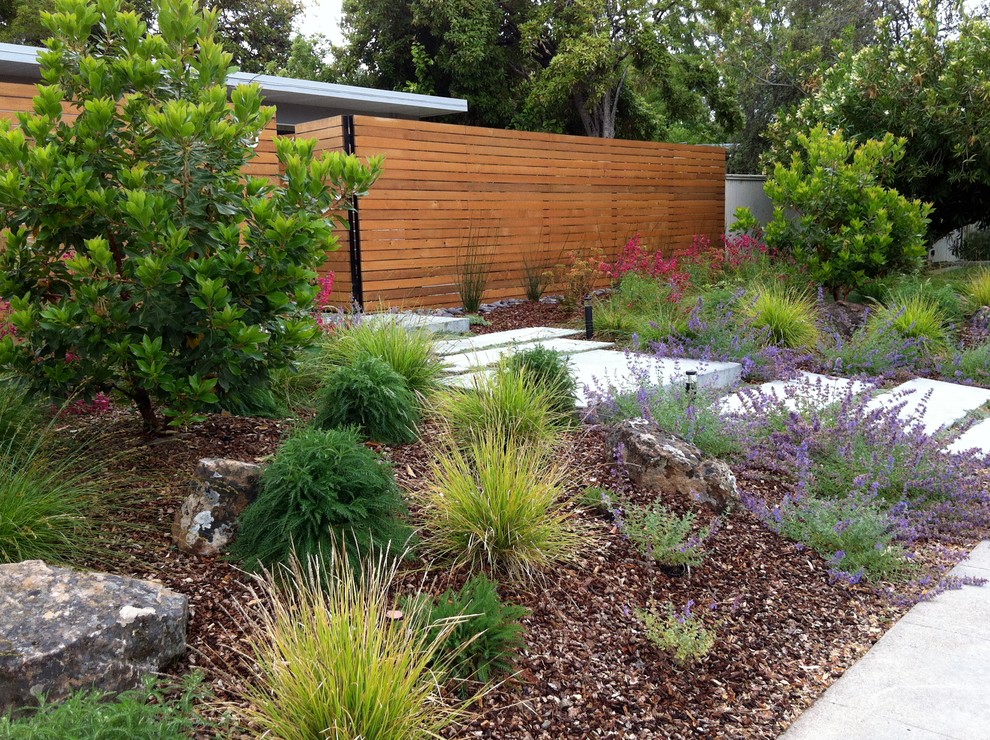 This is an example of a modern landscaping in San Francisco.