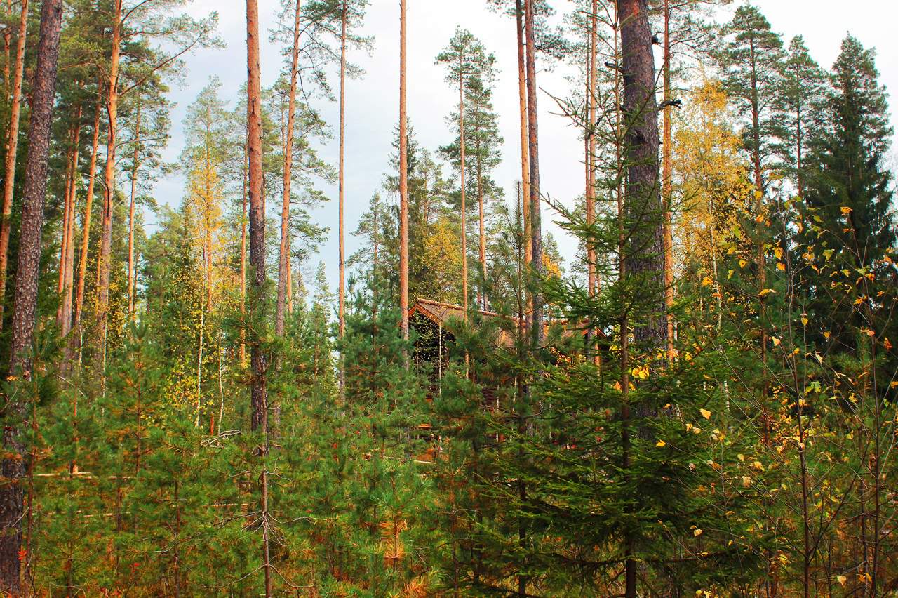 Коттедж "Русская деревня"