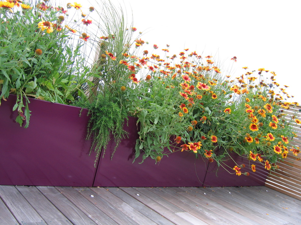 Large contemporary rooftop deck in London with a container garden and no cover.