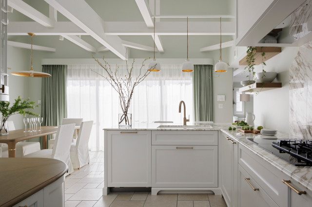 Mimoza transitional-kitchen