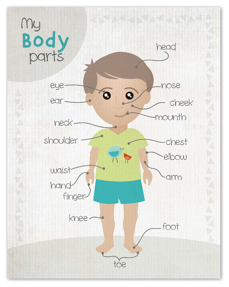 Human Body Printable Kids