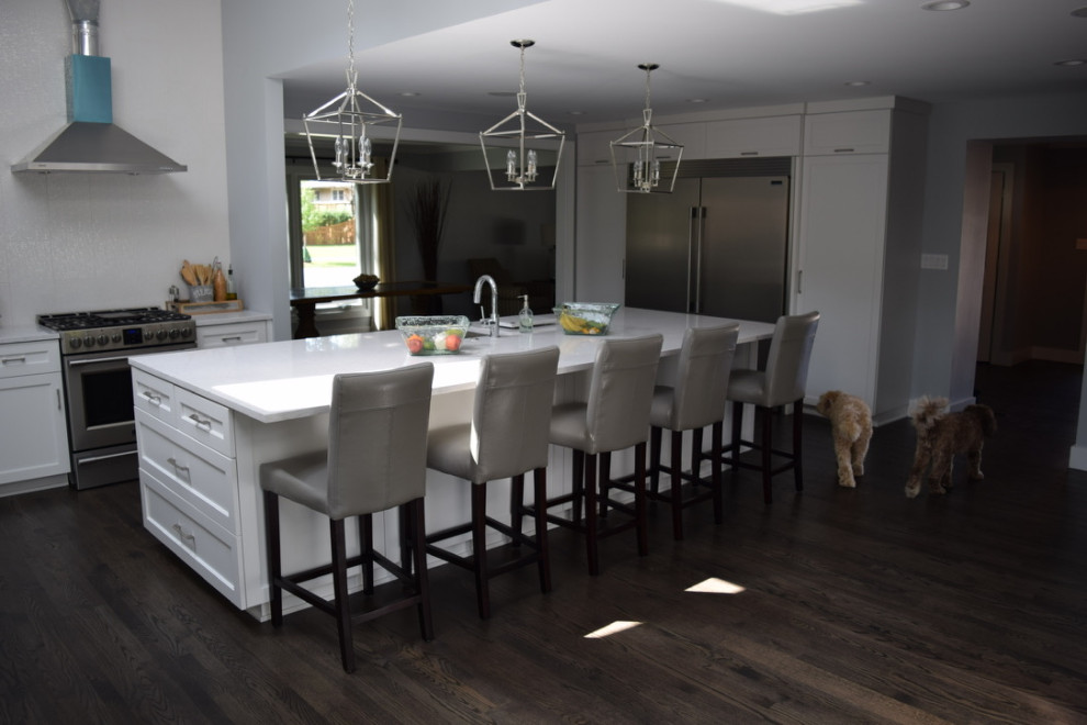 Downers Grove Kitchen Remodel