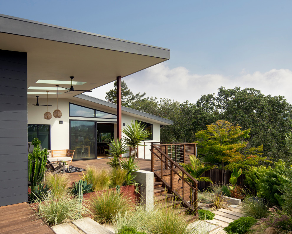 Stark Knoll Place Midcentury Exterior San Francisco by ODS