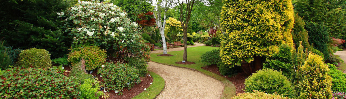 Marula Landscape Design San Antonio Tx Us 78260 Marula Landscape Design