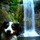 patrick_dwyer8195