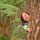 cristy_santos