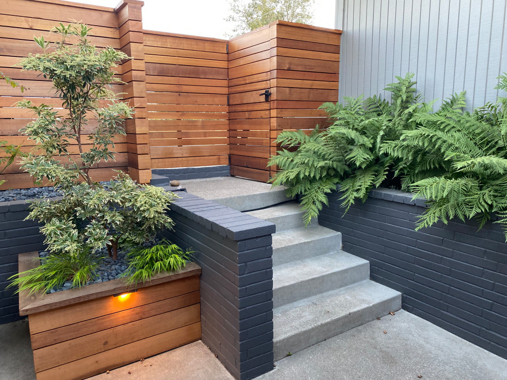 This is an example of a small modern front yard patio in San Francisco with concrete slab.