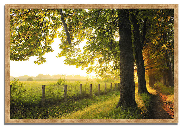 "Fresh Morning Sun", Framed Photograph Print, Ready To Hang