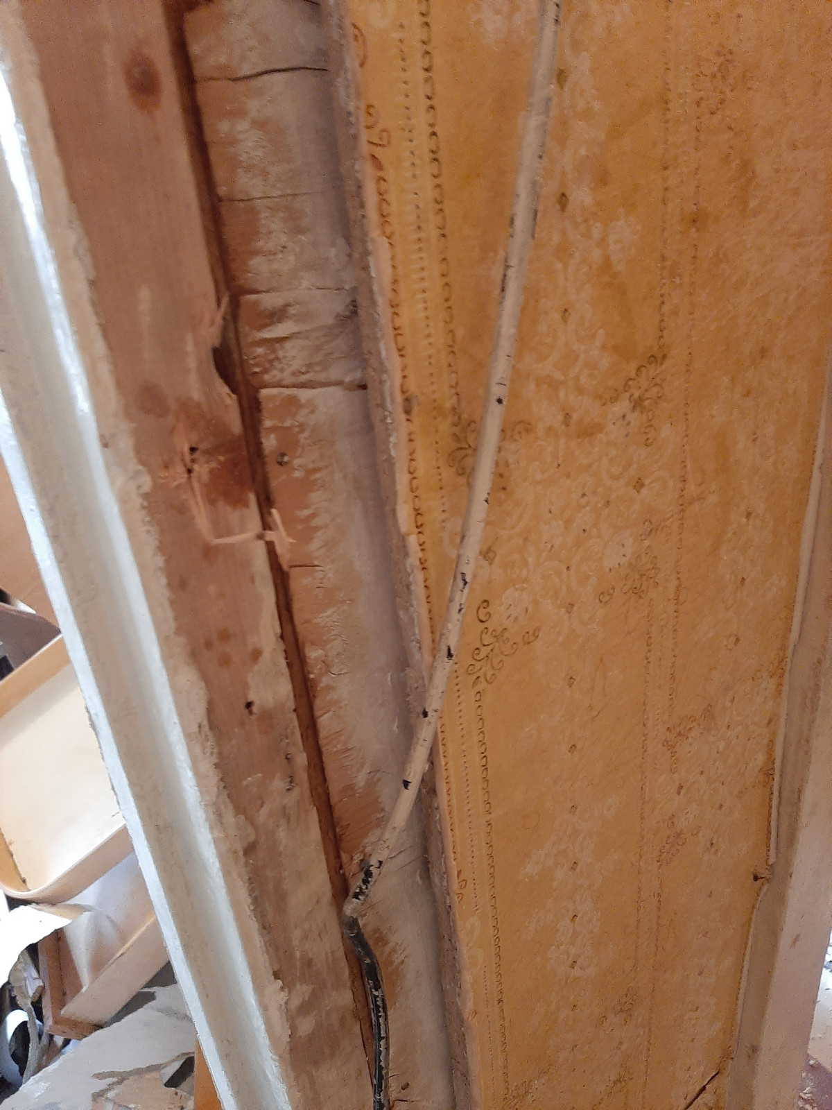 50 метров Новой классики