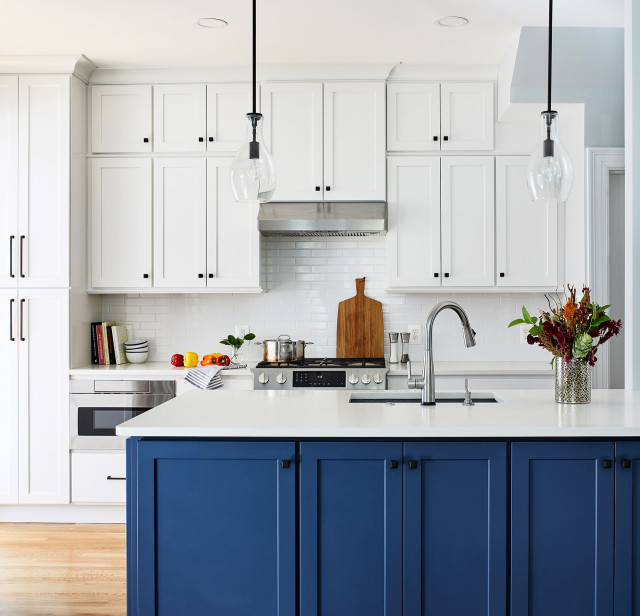 Kitchen and Interior Remodel in Washington, DC transitional-kitchen