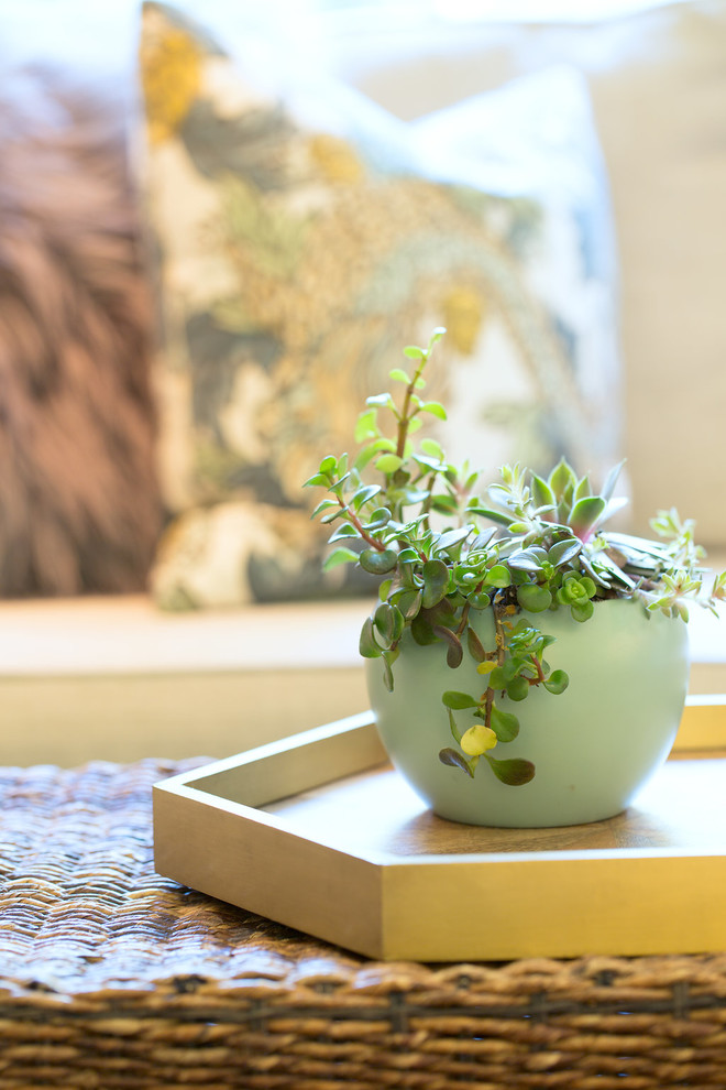 Pretty Plateau Update