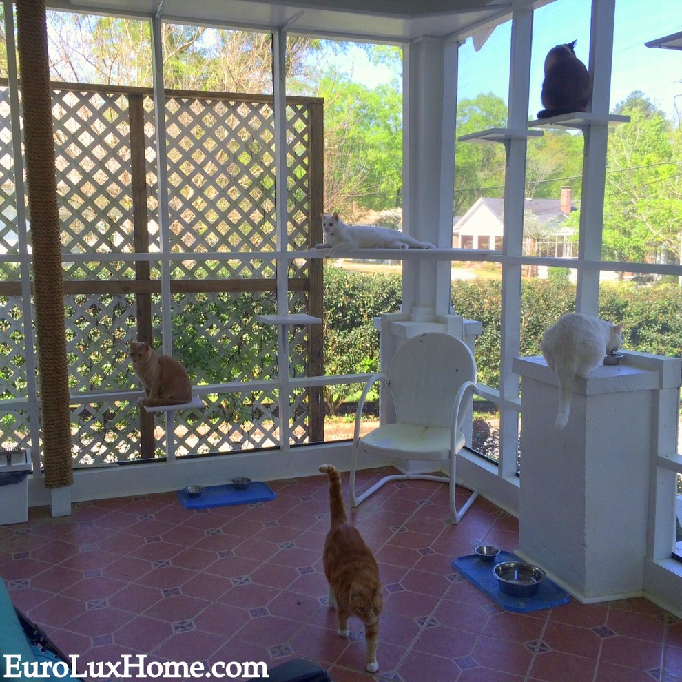 screened in catio