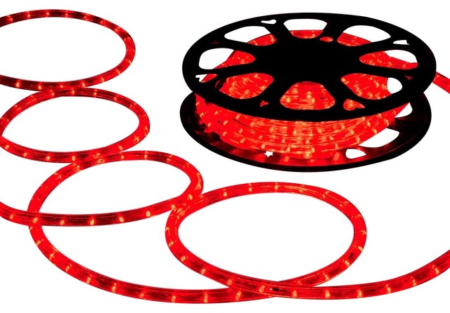 DELight 150' 2-Wire LED Rope Light Holiday Decor Indoor/Outdoor, Cool ...