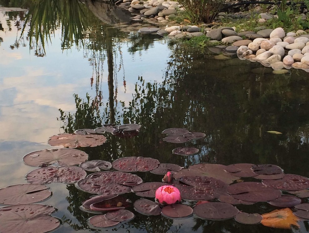 СНЫ О ЧЕМ_ТО БОЛЬШЕМ...