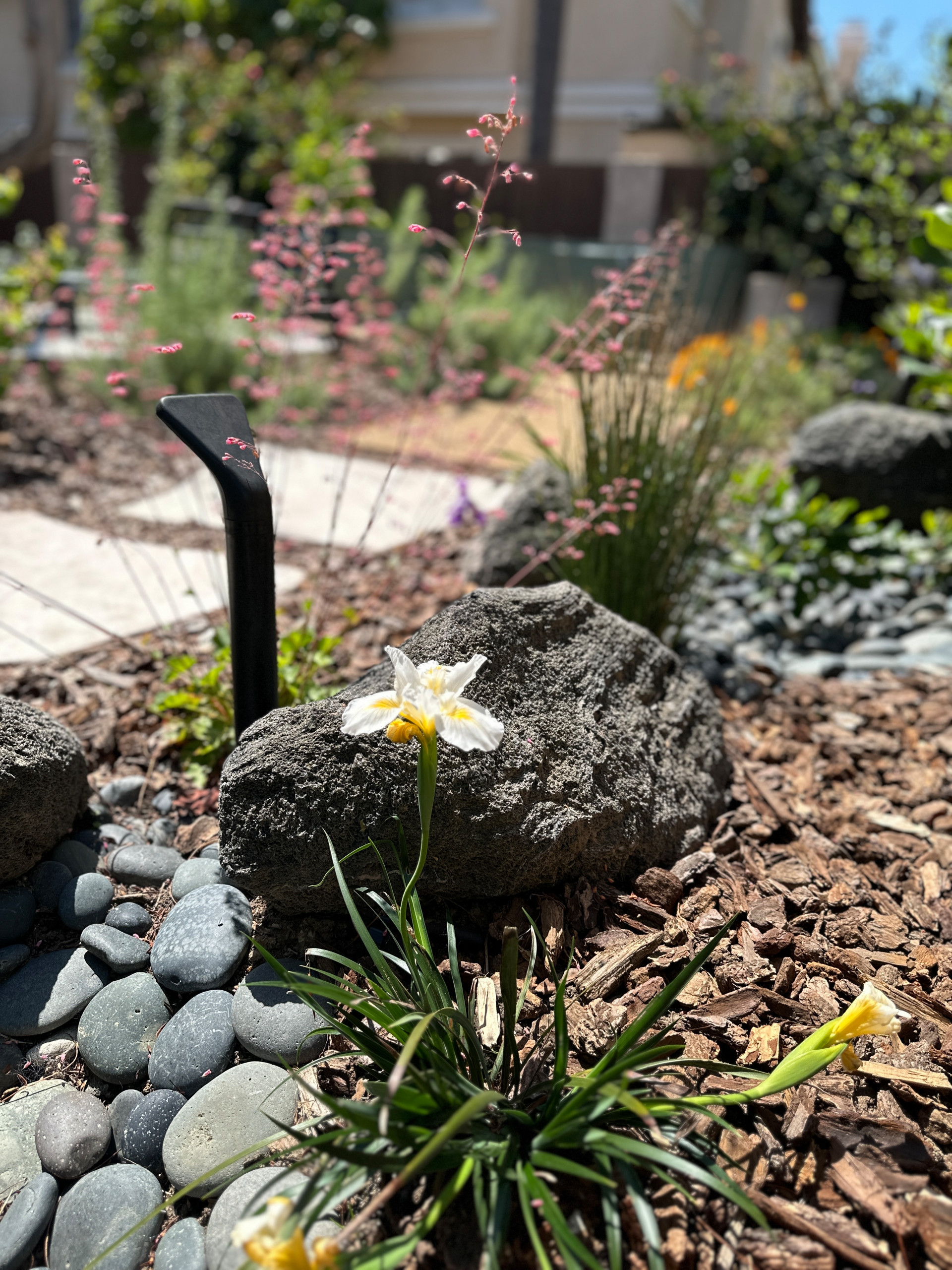A Condo's Peaceful Front Yard Respite