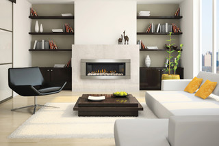 Contemporary Gas Fireplaces - Contemporáneo - Salón - Dénver - de