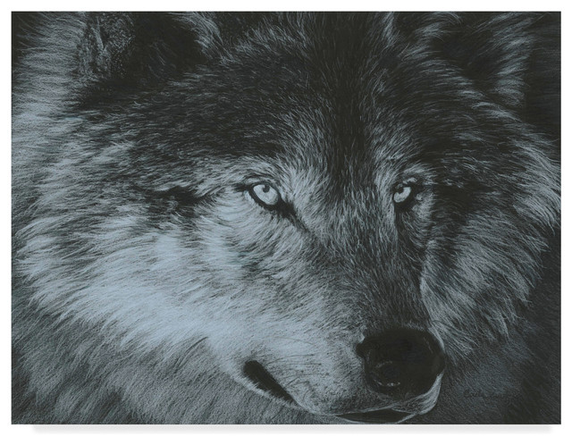 Carla Kurt 'Dark Wolf' Canvas Art