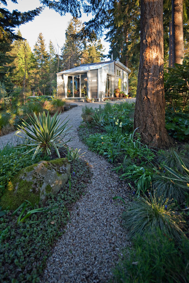 This is an example of a contemporary backyard garden in Seattle with gravel.