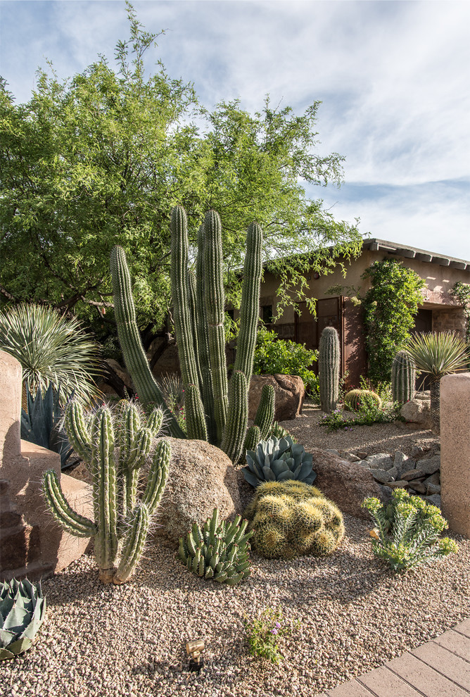This is an example of a large backyard xeriscape in Phoenix with gravel.