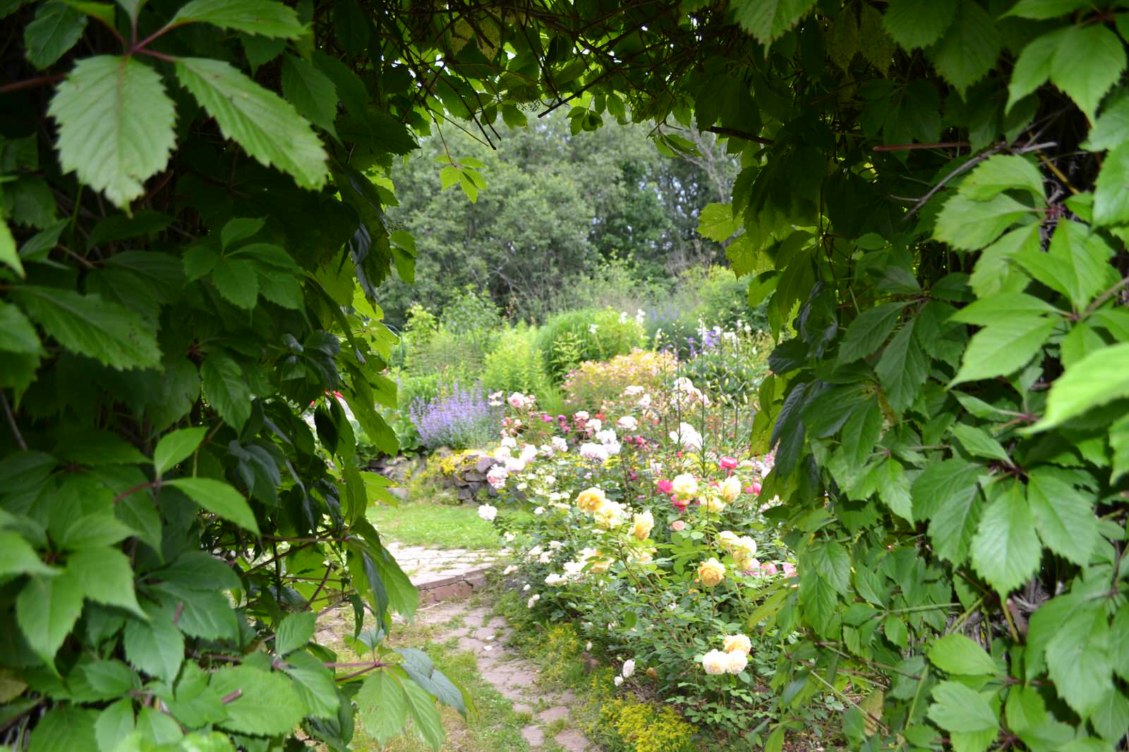 Сад  «Моя цветущая планета».