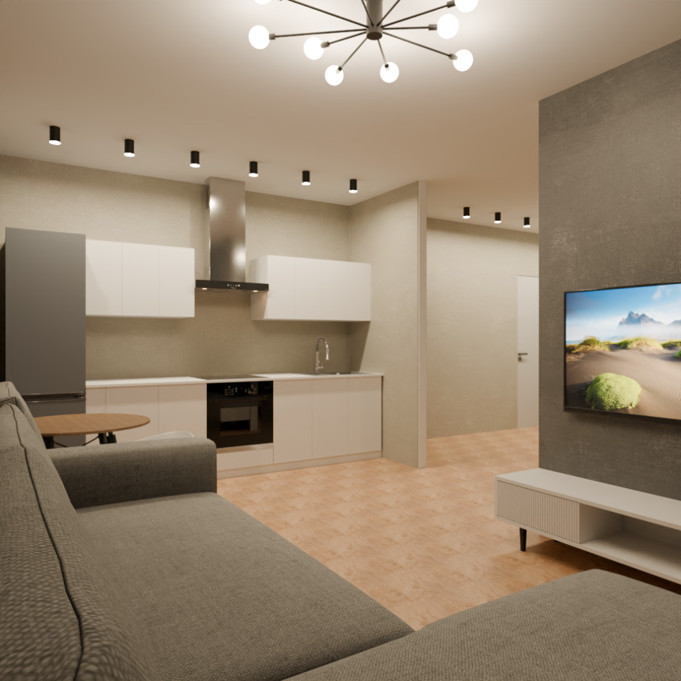 Визуализация трех типовых квартир под сдачу в аренду