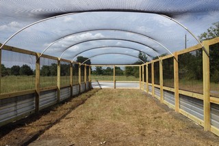 quail flight pen - houston - by harkey fencebuilding&ranch