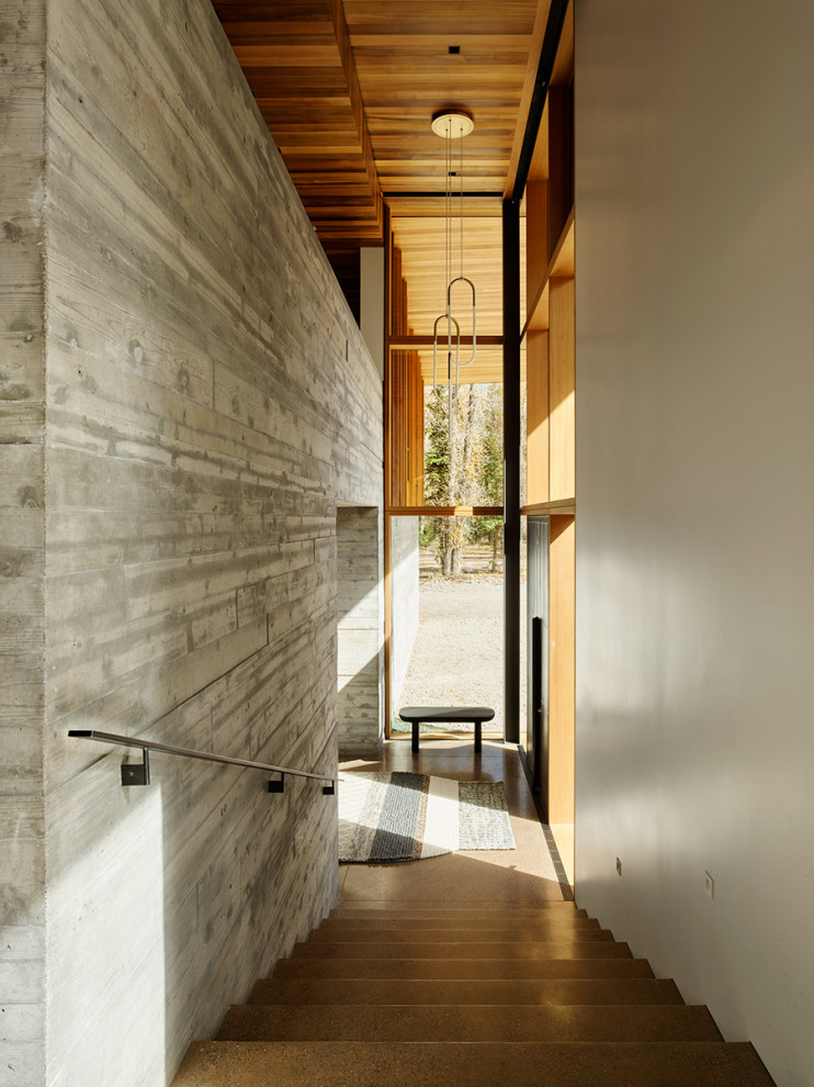 Idee per un ingresso o corridoio minimalista con pavimento in cemento, una porta a pivot e soffitto in legno