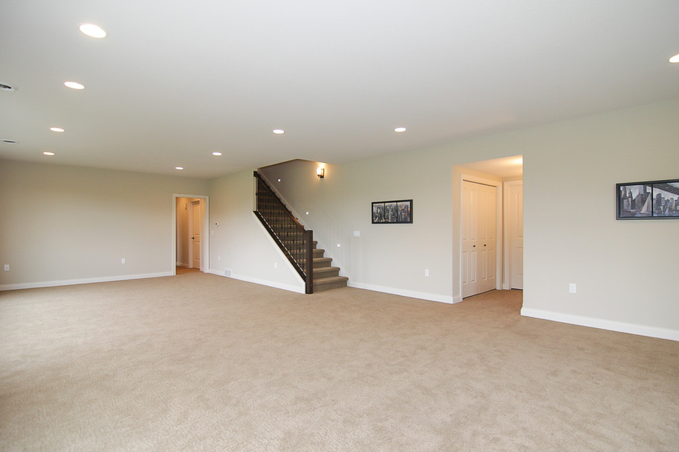 Basement - transitional basement idea in Milwaukee