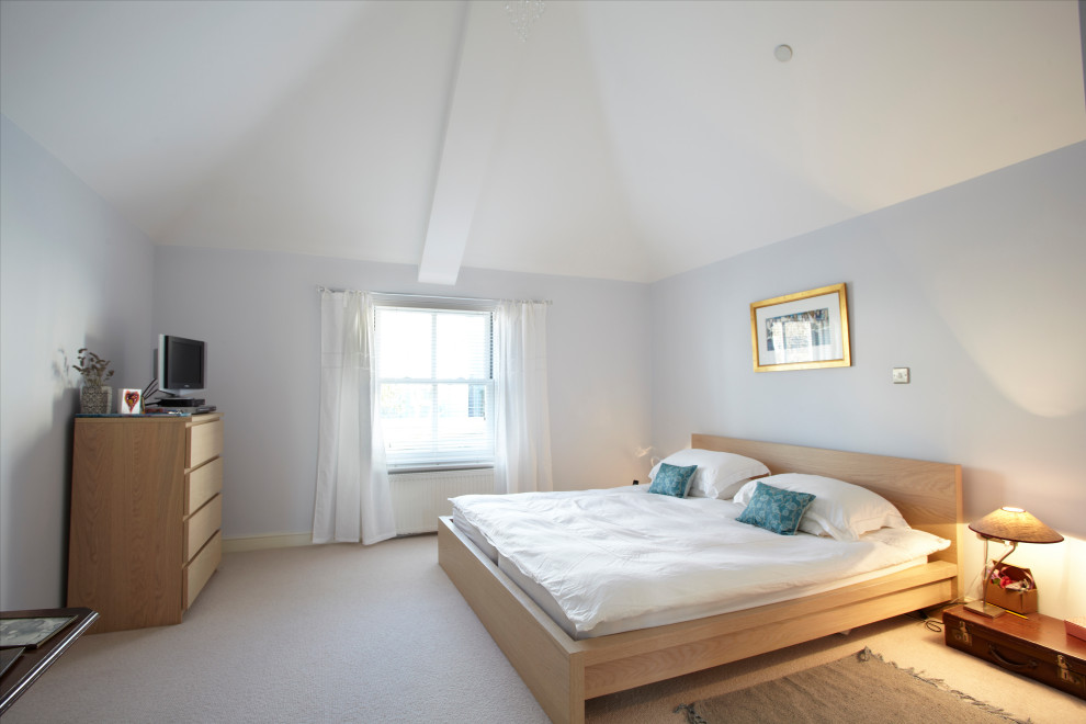 Стильный дизайн: гостевая спальня среднего размера, (комната для гостей) в стиле фьюжн с синими стенами, ковровым покрытием и бежевым полом - последний тренд