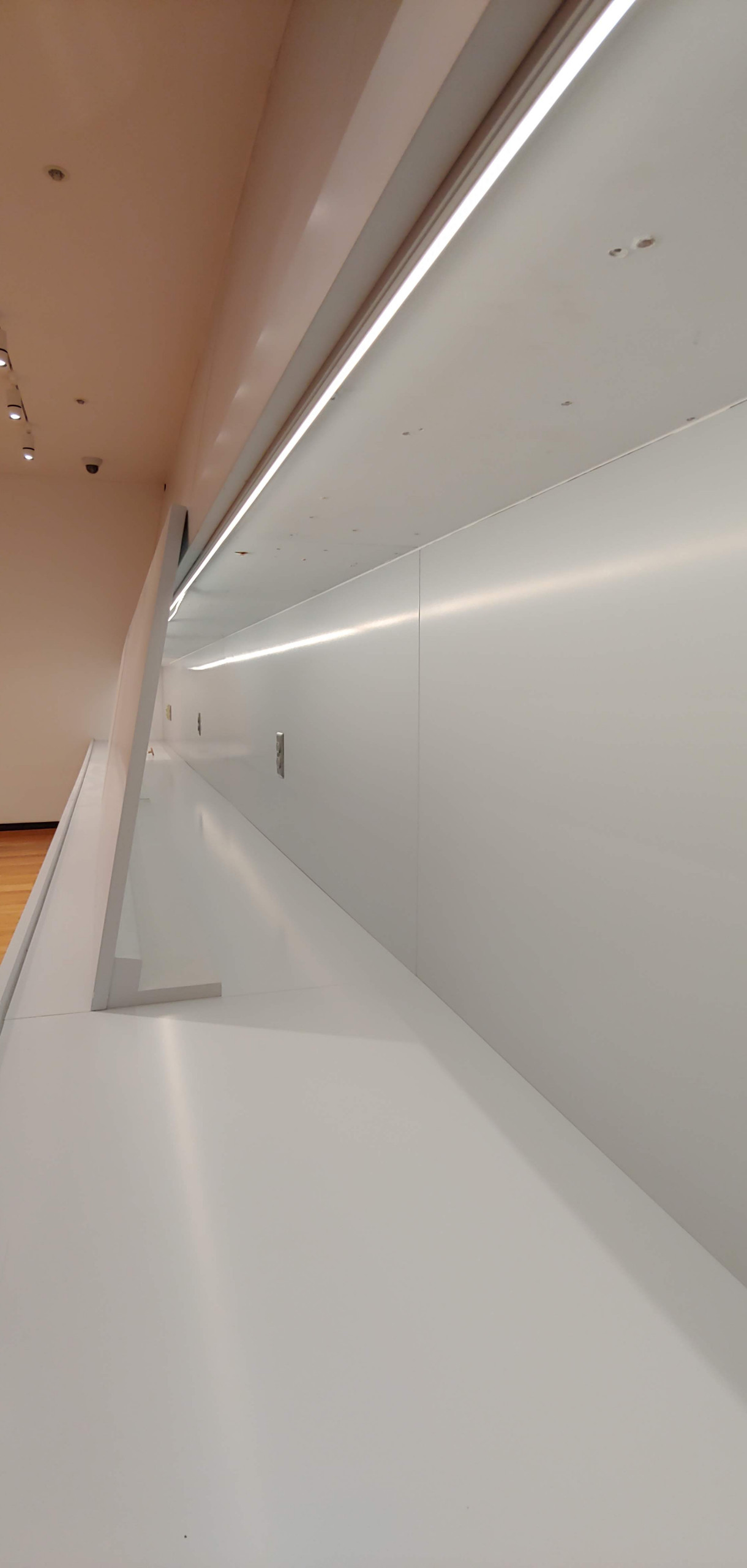 Johnson Museum of Art - Gallery Renovation