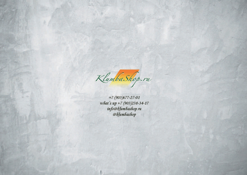 Хвойные заросли