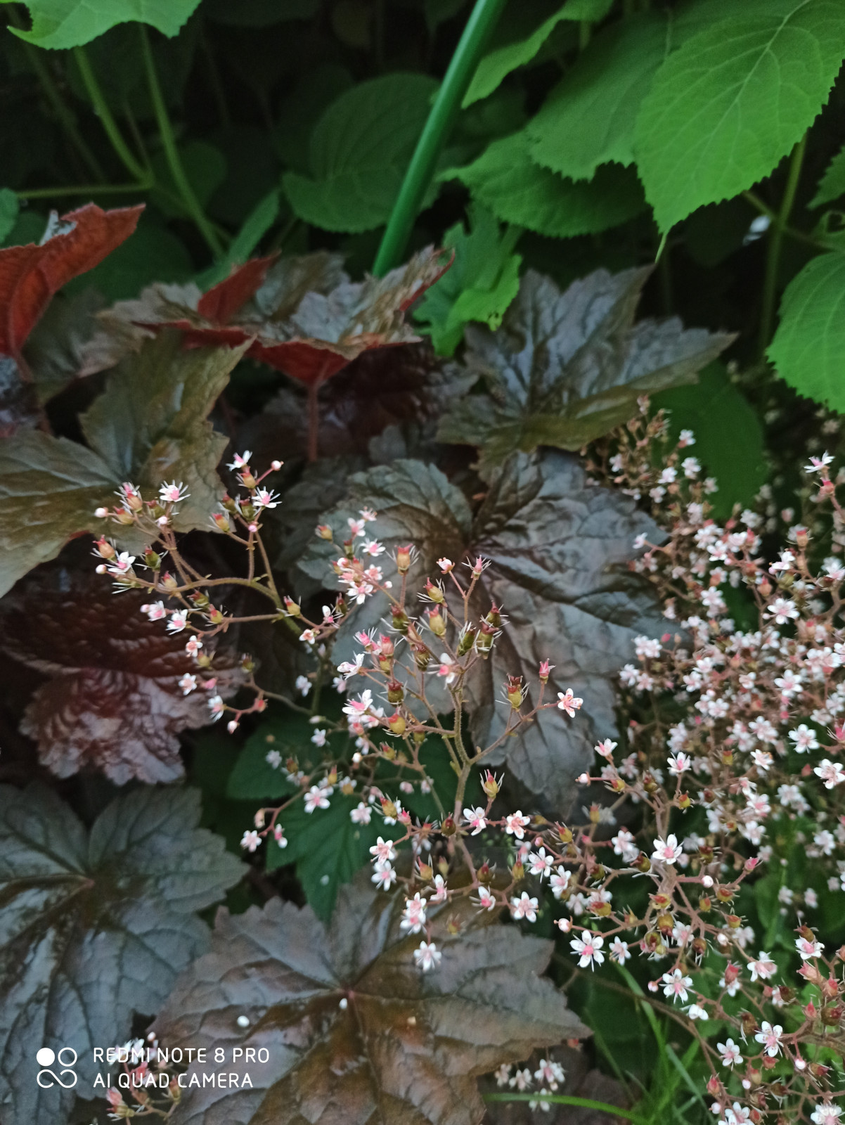 Ландшафт сада в 6 соток.