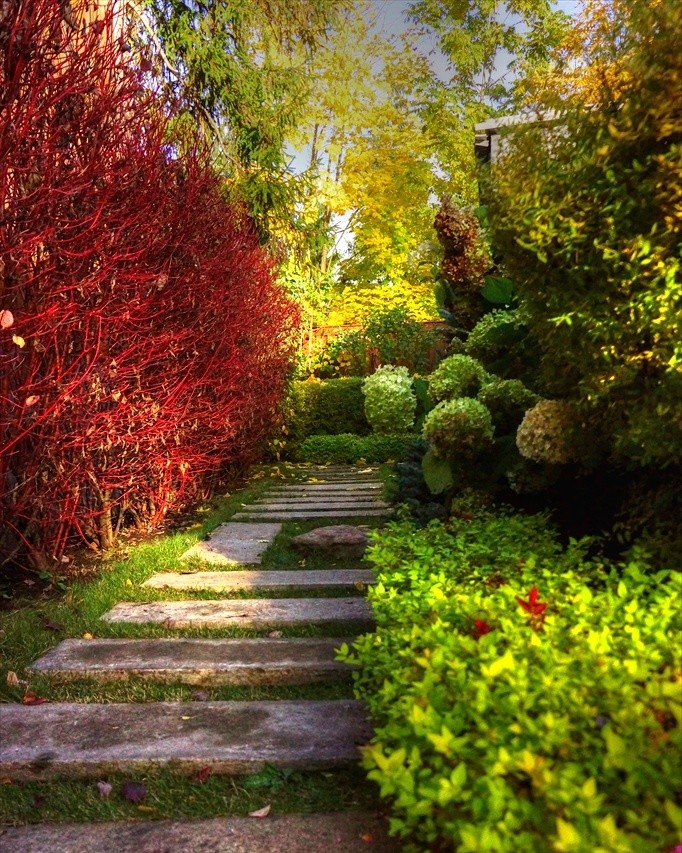 гравитация