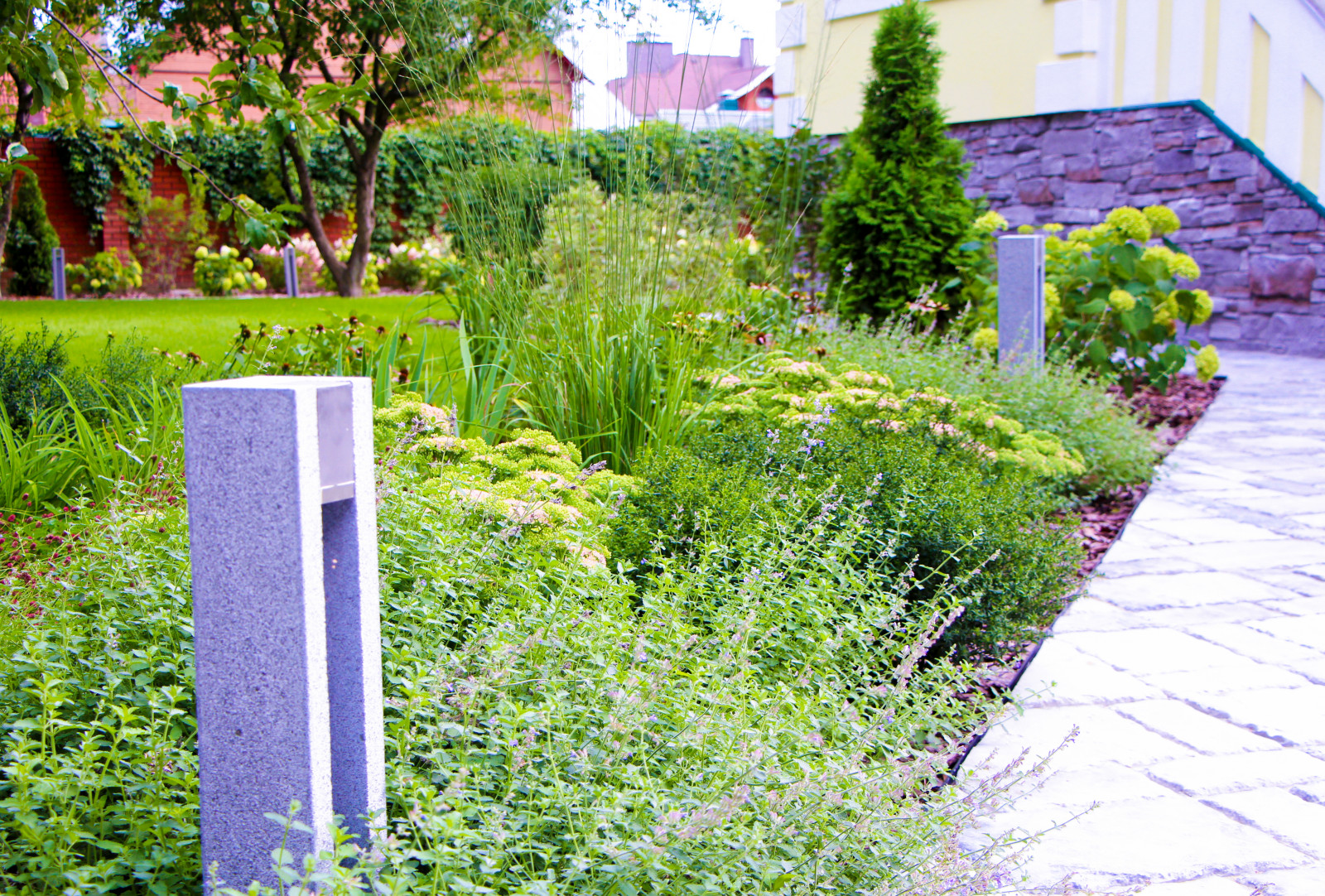 Долгопрудный, 2020 г.