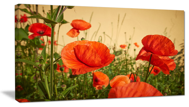 Colorful Red Poppy Flower Field, Flower Artwork on Canvas ...